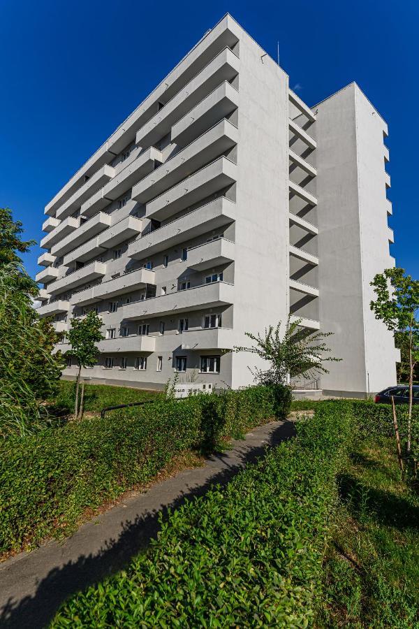 Koa - Pandora Apartments Braşov Eksteriør bilde